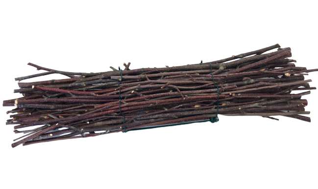 Bundle of Wooden Twigs